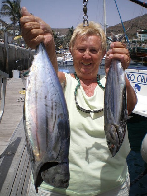 Skipjack Tuna Cavalier & Blue Marlin Sport Fishing Gran Canaria