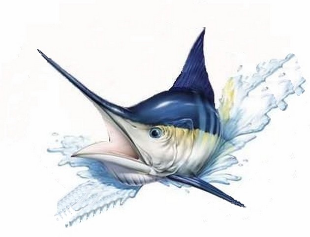 Pech & Geluk - Cavalier & Blue Marlin Sport Fishing Gran Canaria