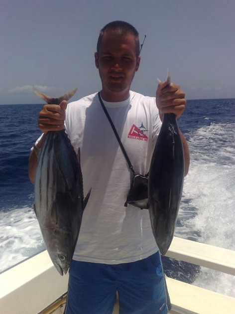 Skipjack Tuna Cavalier & Blue Marlin Sport Fishing Gran Canaria