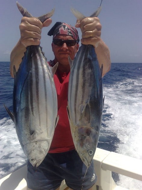 Skipjack Tuna Cavalier & Blue Marlin Sport Fishing Gran Canaria