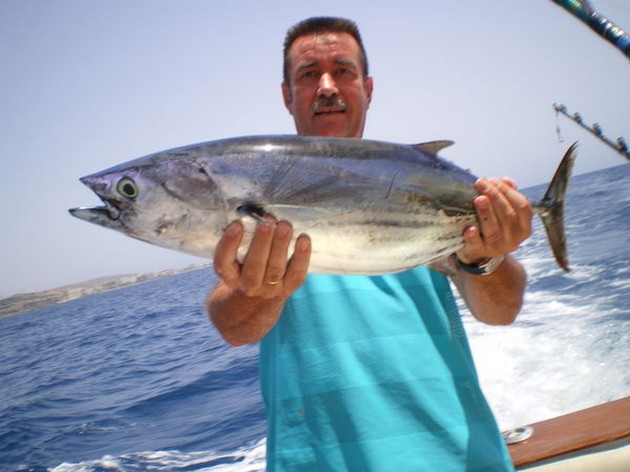 Skipjack Tuna Cavalier & Blue Marlin Sport Fishing Gran Canaria