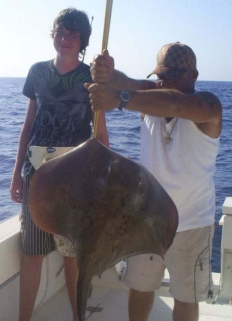 Stingray Cavalier & Blue Marlin Sport Fishing Gran Canaria