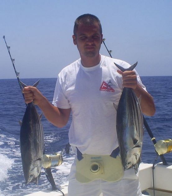Skipjack Tunas Cavalier & Blue Marlin Sport Fishing Gran Canaria