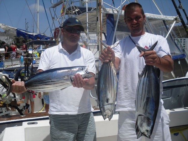 Skipjack Tunas Cavalier & Blue Marlin Sport Fishing Gran Canaria