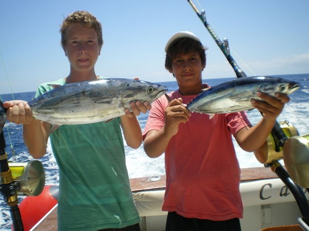 Skipjack Tuna Cavalier & Blue Marlin Sport Fishing Gran Canaria