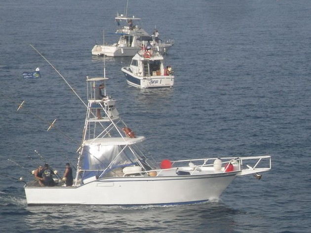 Turneringsdag 2 - Cavalier & Blue Marlin Sport Fishing Gran Canaria