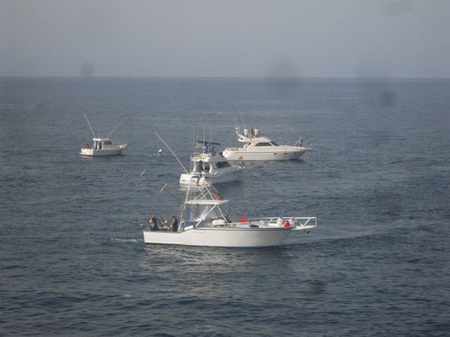 Turnering Dag 3 - Cavalier & Blue Marlin Sport Fishing Gran Canaria