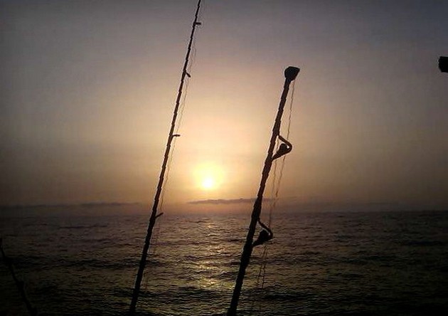 4 Blue Marlins - Cavalier & Blue Marlin Sport Fishing Gran Canaria