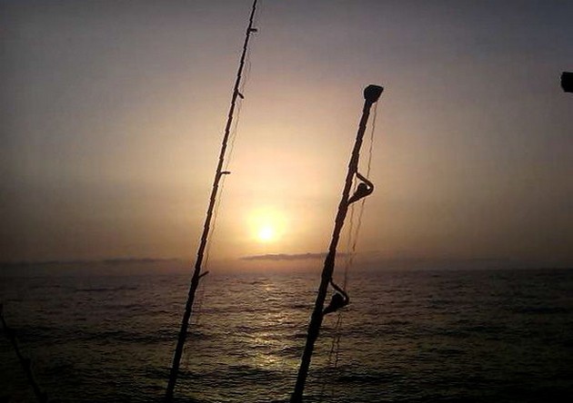 4 Blue Marlins - Cavalier & Blue Marlin Sport Fishing Gran Canaria