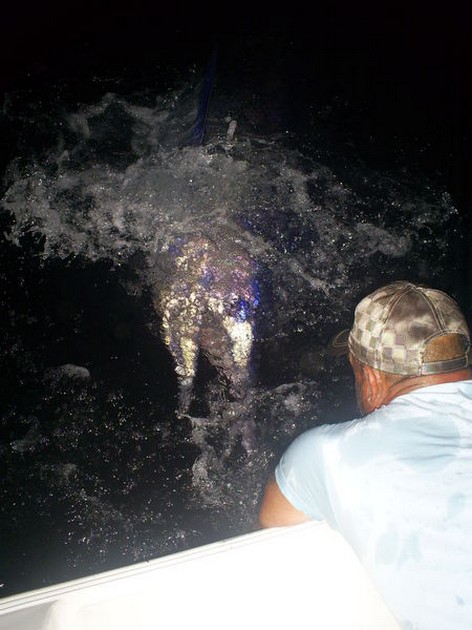 03/08 Blue Marlin Cavalier & Blue Marlin Sport Fishing Gran Canaria