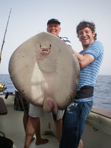 Roughtail Stingray Cavalier & Blue Marlin Sport Fishing Gran Canaria