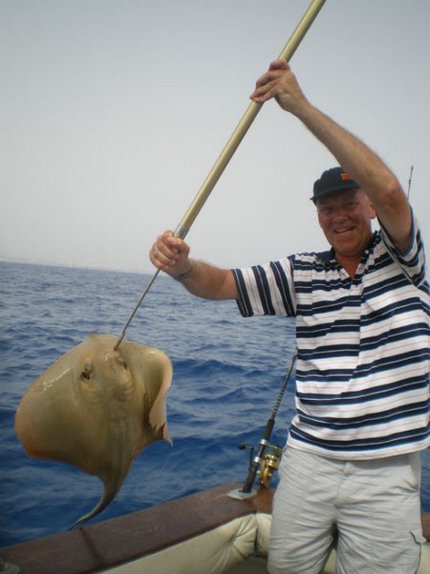 Common Stingray Cavalier & Blue Marlin Sport Fishing Gran Canaria