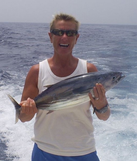 Skipjack Tuna Cavalier & Blue Marlin Sport Fishing Gran Canaria