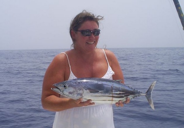 Skipjack Tuna Cavalier & Blue Marlin Sport Fishing Gran Canaria