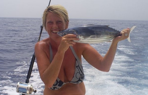 Skipjack Tuna Cavalier & Blue Marlin Sport Fishing Gran Canaria