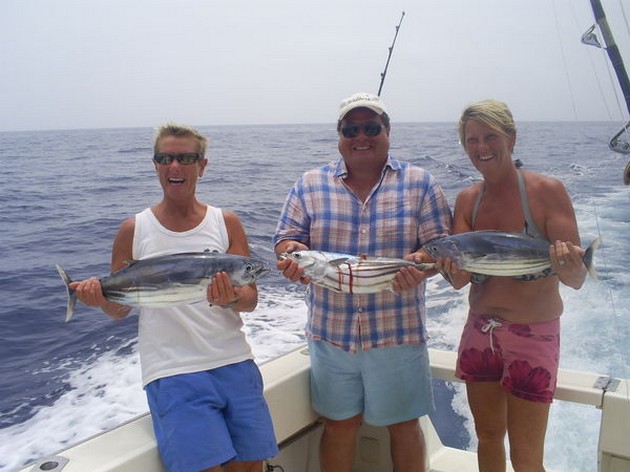 Skipjack Tuna Cavalier & Blue Marlin Sport Fishing Gran Canaria