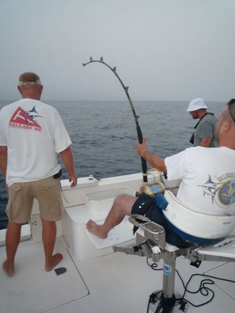 The Fight - 210 Min Cavalier & Blue Marlin Sport Fishing Gran Canaria