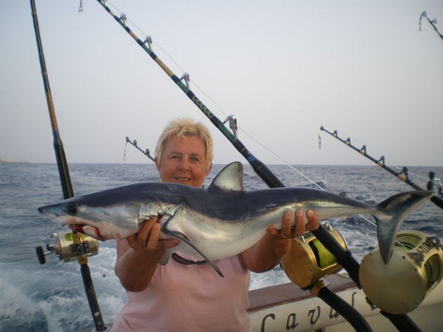 Hammerhead Shark - Cavalier & Blue Marlin Sport Fishing Gran Canaria