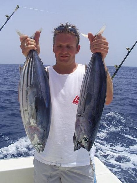 Skipjack Tuna Cavalier & Blue Marlin Sport Fishing Gran Canaria