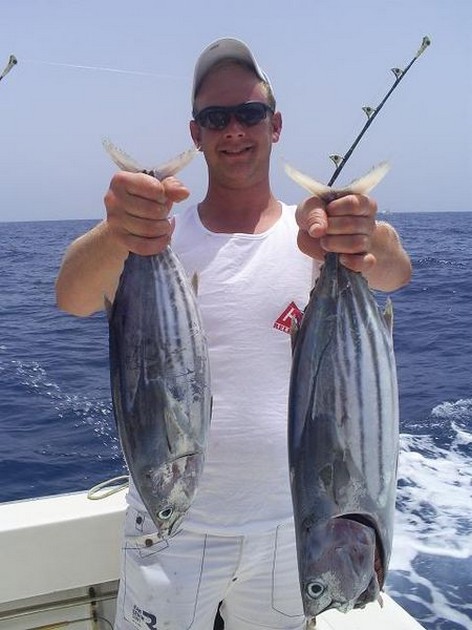 Skipjack Tuna Cavalier & Blue Marlin Sport Fishing Gran Canaria