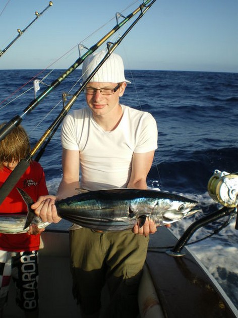 Skipjack Tuna Cavalier & Blue Marlin Sport Fishing Gran Canaria