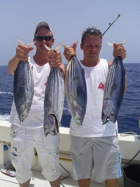 Happy Fishermen Cavalier & Blue Marlin Sport Fishing Gran Canaria