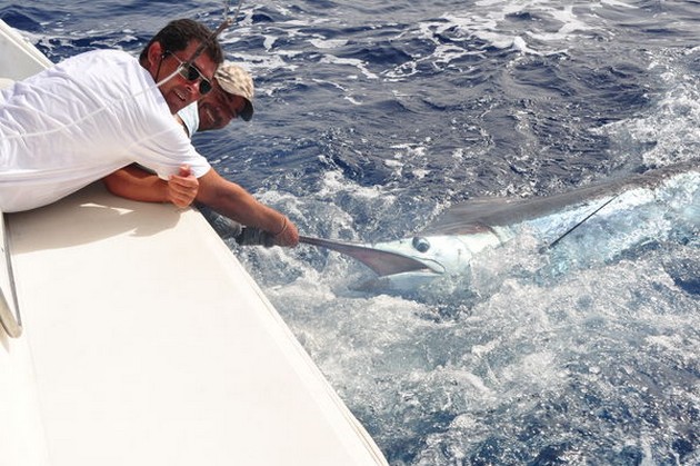 08/08 Blue Marlin Cavalier & Blue Marlin Sport Fishing Gran Canaria