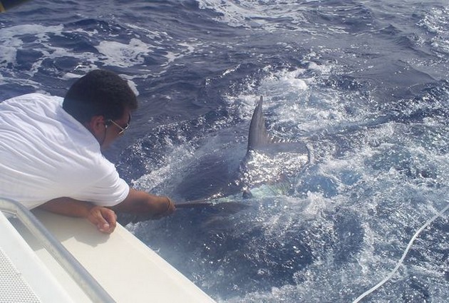 Please Release Me Cavalier & Blue Marlin Sport Fishing Gran Canaria