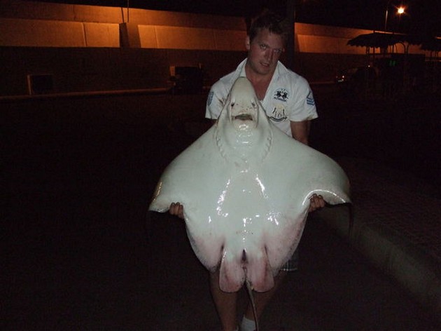 Duckbill Ray Cavalier & Blue Marlin Sport Fishing Gran Canaria