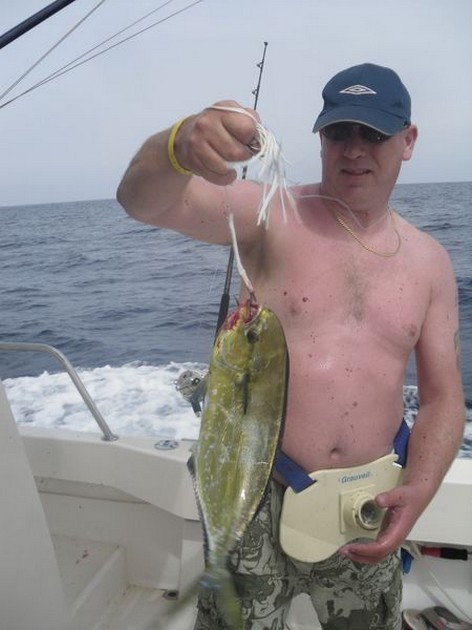 Dorado Cavalier & Blue Marlin Sport Fishing Gran Canaria