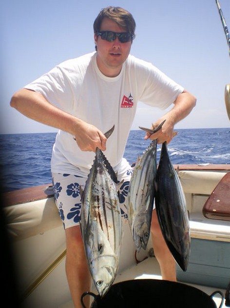 Skipjack Tuna Cavalier & Blue Marlin Sport Fishing Gran Canaria