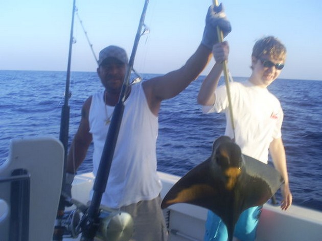 Eagle Ray Cavalier & Blue Marlin Sport Fishing Gran Canaria
