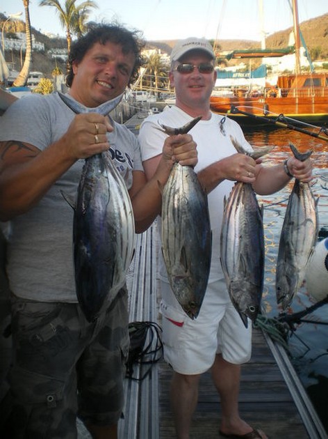 Skipjack Tunas Cavalier & Blue Marlin Sport Fishing Gran Canaria