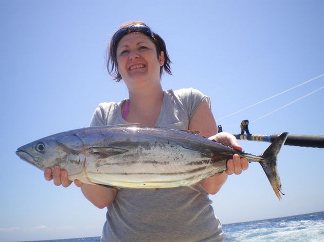Skipjack Tuna Cavalier & Blue Marlin Sport Fishing Gran Canaria