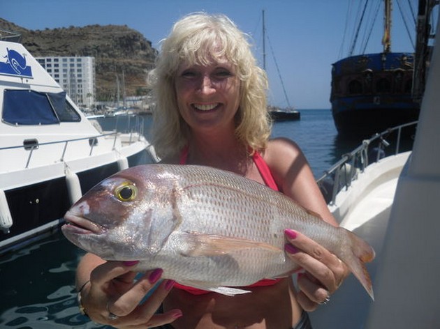 19/08 Red Snapper Cavalier & Blue Marlin Sport Fishing Gran Canaria