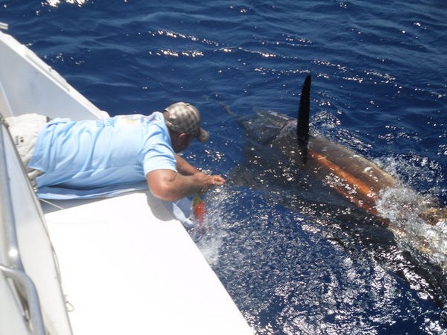 21/08 Blue Marlin Cavalier & Blue Marlin Sport Fishing Gran Canaria