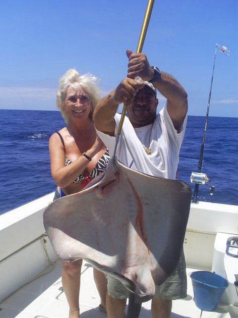 Roughtail Stingray Cavalier & Blue Marlin Sport Fishing Gran Canaria
