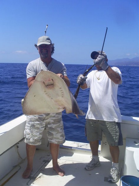 Roughtail Stingray Cavalier & Blue Marlin Sport Fishing Gran Canaria