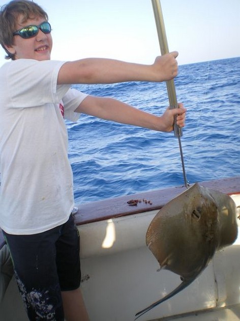 Common Stingray Cavalier & Blue Marlin Sport Fishing Gran Canaria