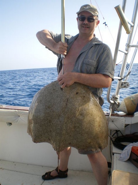 Butterfly ray Cavalier & Blue Marlin Sport Fishing Gran Canaria