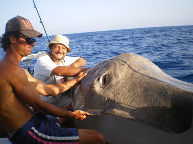 Roughtail Stingray Cavalier & Blue Marlin Sport Fishing Gran Canaria