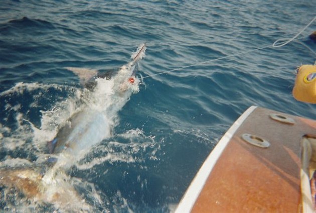 Bad Luck - Cavalier & Blue Marlin Sport Fishing Gran Canaria