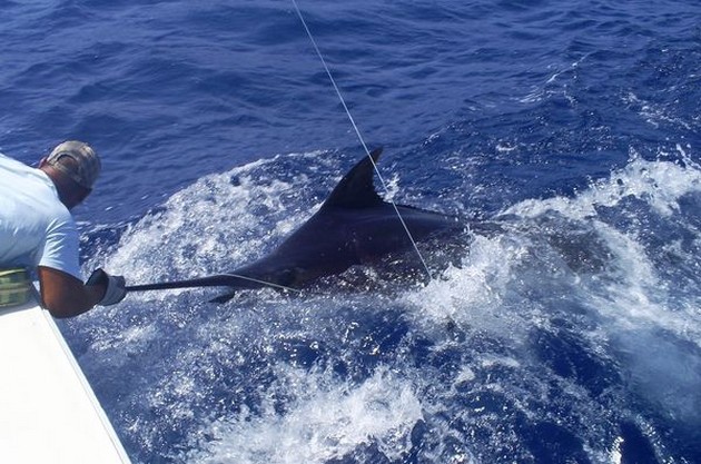 03/09  Blue Marlin Cavalier & Blue Marlin Sport Fishing Gran Canaria