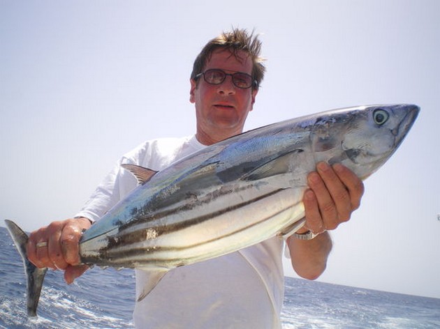 Skipjack Tuna Cavalier & Blue Marlin Sport Fishing Gran Canaria