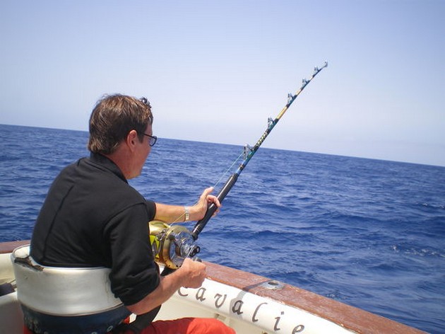 200 Kg Blue Tagged - Cavalier & Blue Marlin Sport Fishing Gran Canaria