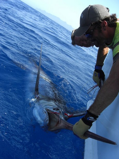 09/09 Blue Marlin Cavalier & Blue Marlin Sport Fishing Gran Canaria