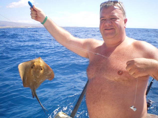 Common Stingray Cavalier & Blue Marlin Sport Fishing Gran Canaria