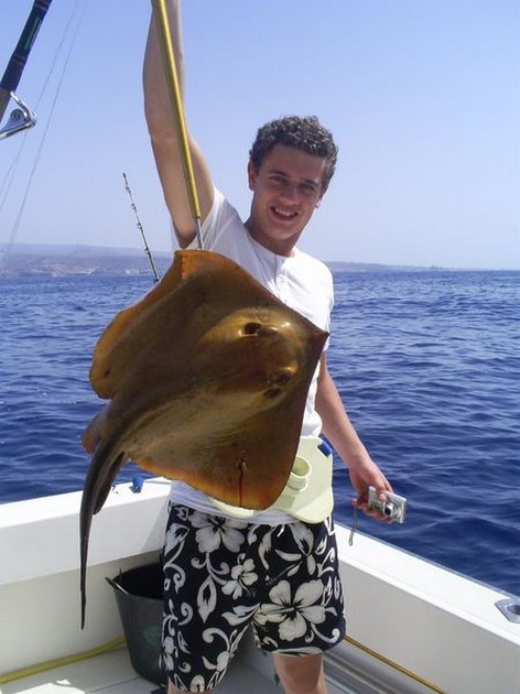 Common Stingray Cavalier & Blue Marlin Sport Fishing Gran Canaria