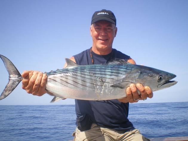 Atlantic Bonito Cavalier & Blue Marlin Sport Fishing Gran Canaria