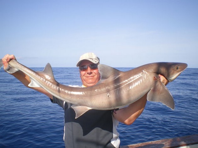 Tope Cavalier & Blue Marlin Sport Fishing Gran Canaria